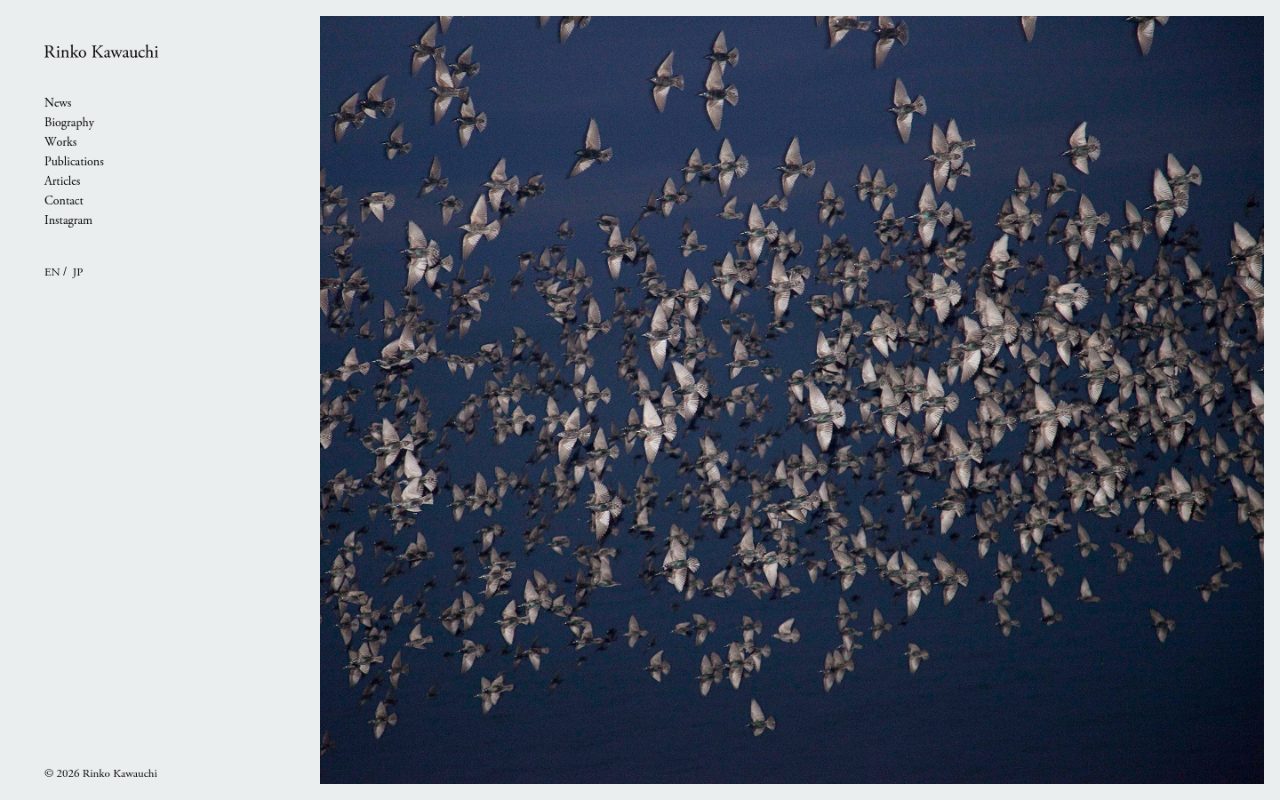 Startseite von rinkokawauchi.com: links schmale Spalte mit Name und Navigation, rechts ein großes Foto eines Vogelschwarms.